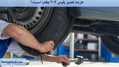هزینه تعمیر پلوس 207 چقدر است؟