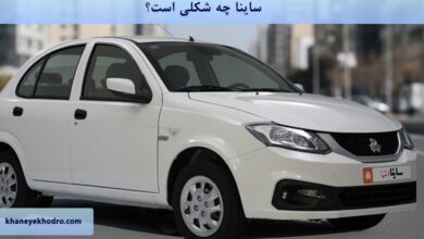 ساینا چه شکلی است؟