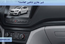 شیر بخاری شاهین کجاست؟