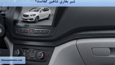 شیر بخاری شاهین کجاست؟